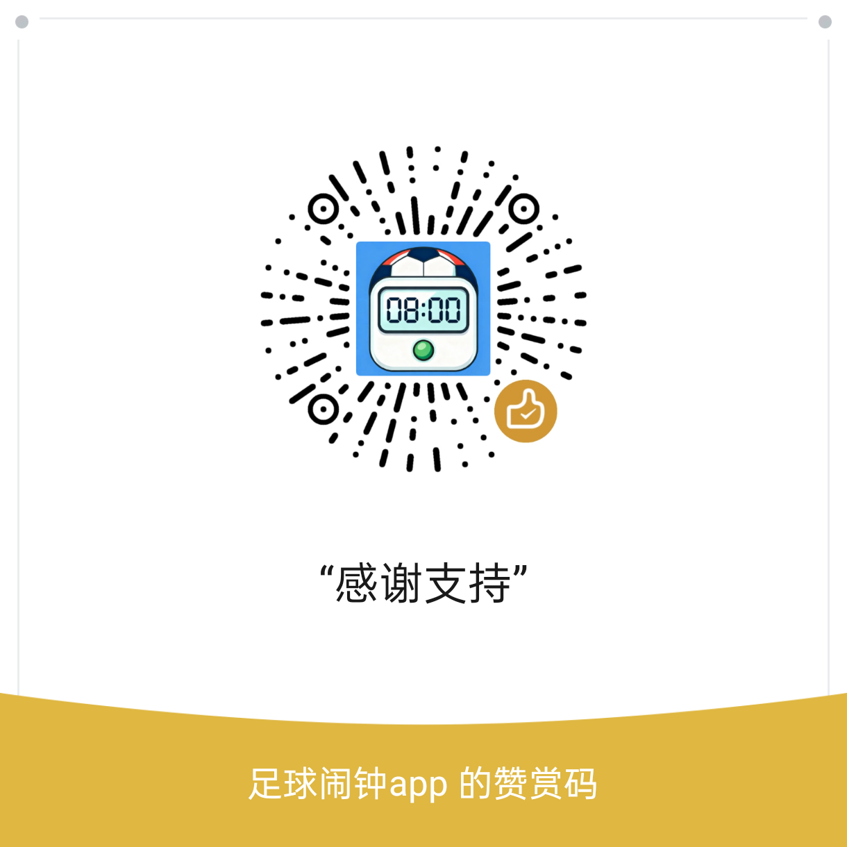 WeChat Donation QR